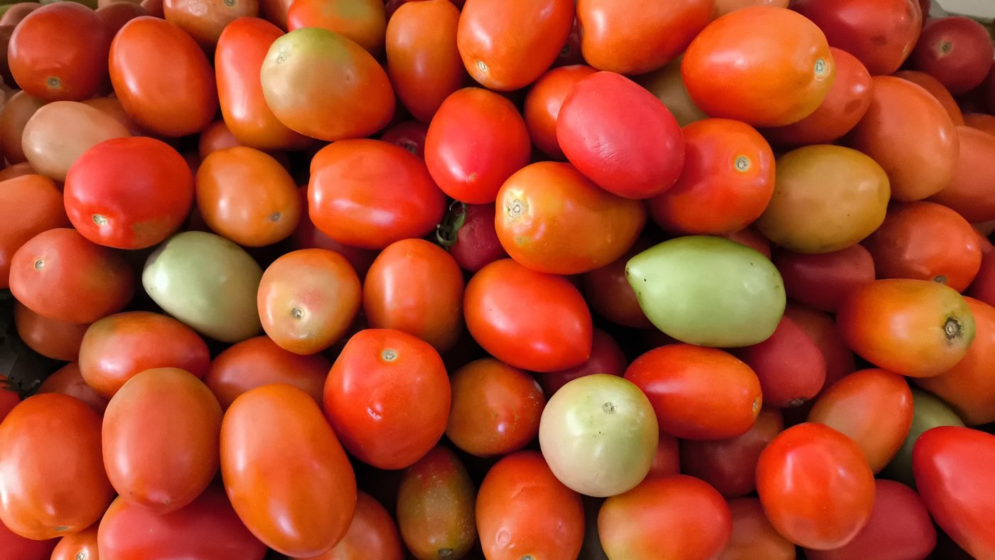 Tomate italiano fresco