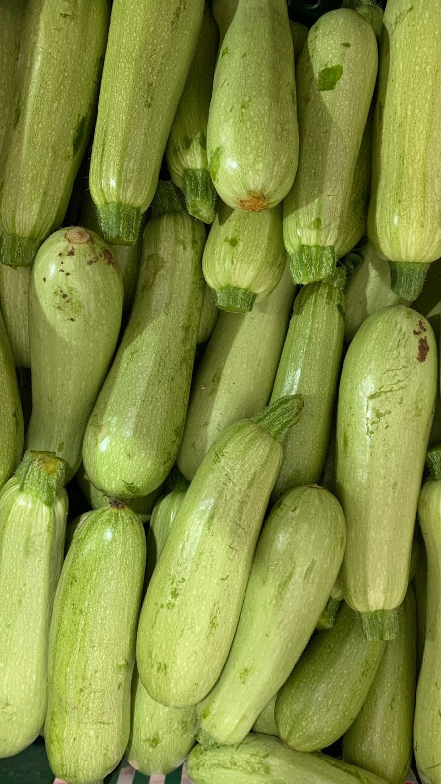 Abobrinha fresca